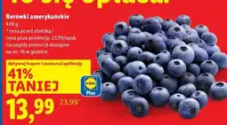 Lidl Borówki amerykańskie oferta