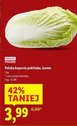 Lidl Kapusta pekińska polska oferta