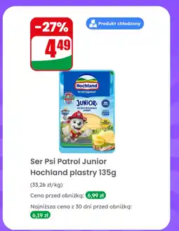 Dino Ser Psi Patrol Junior plastry Hochland oferta