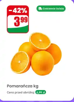 Dino Pomarańcze Dino oferta