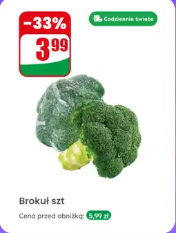 Dino Brokuł 1 szt. Dino oferta
