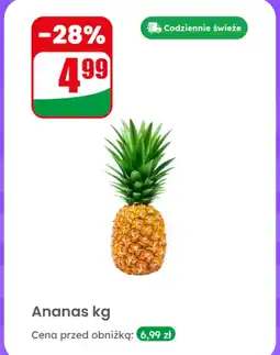 Dino Ananas Dino oferta
