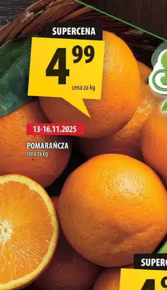 Arhelan Pomarańcza Arhelan oferta