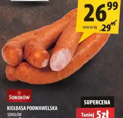 Arhelan Kiełbasa podwawelska Sokołów oferta