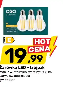 Bricomarche Żarówka E oferta
