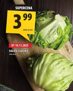 Arhelan Sałata lodowa oferta