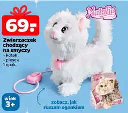 Netto Kotek chodzący oferta