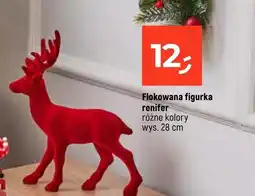 Dealz Renifer oferta