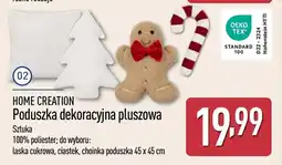 ALDI Poduszka dekoracyjna Home Creation oferta