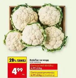 Biedronka Kalafior oferta