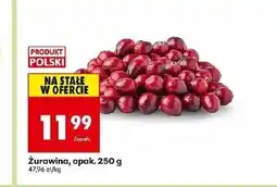 Biedronka Żurawina Katarzyna Stoparczyk oferta