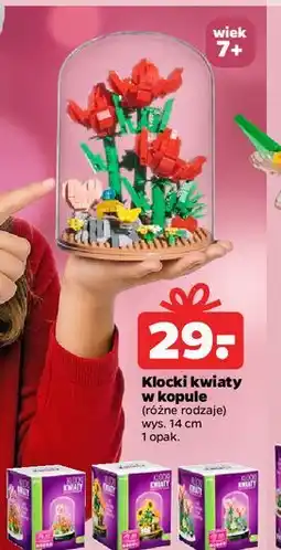 Netto Klocki kwiaty w kopule oferta