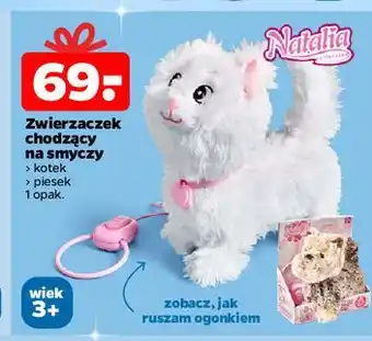 Netto Piesek na smyczy Natalia oferta