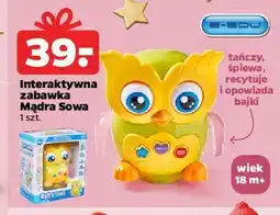 Netto Mądra sowa E-Edu oferta