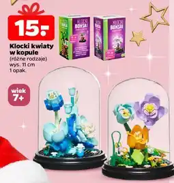 Netto Klocki bonsai kwiaty w kopule oferta