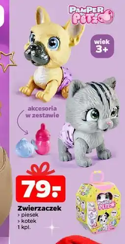 Netto Piesek Pamper Petz oferta
