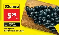 Biedronka Winogrona mołdawskie oferta