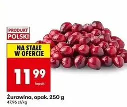 Biedronka Żurawina oferta