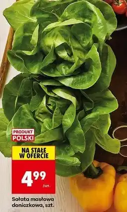 Biedronka Sałata masłowa oferta