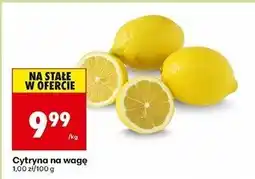 Biedronka Cytryny oferta