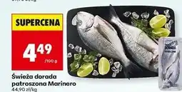 Biedronka Dorada patroszona świeża Marinero oferta