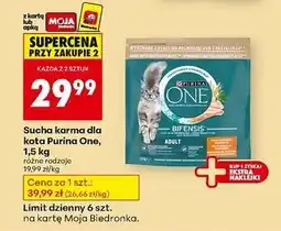 Biedronka Karma dla kota adult kurczak i pełne ziarna Purina One oferta