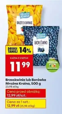 Biedronka Borówki Mroźna Kraina oferta