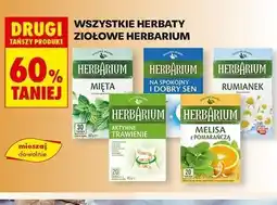 Biedronka Herbata aktywne trawienie Herbarium oferta