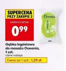 Biedronka Gąbka do masażu Oceania oferta