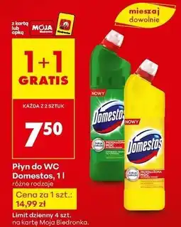 Biedronka Płyn do WC Domestos oferta