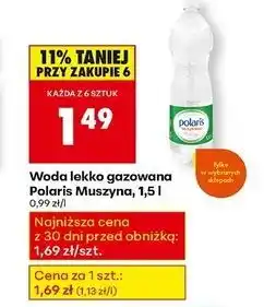 Biedronka Woda lekko gazowana Polaris Muszyński oferta