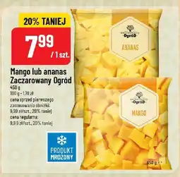 Polomarket Mango lub ananas zaczarowany Ogród oferta