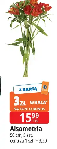 E.Leclerc Alsometria 50 cm oferta