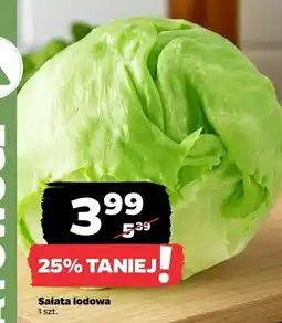 Netto Sałata lodowa Netto oferta