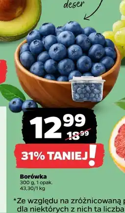 Netto Borówka 300 g Netto oferta