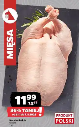 Netto Kaczka Pekin tuszka Netto oferta