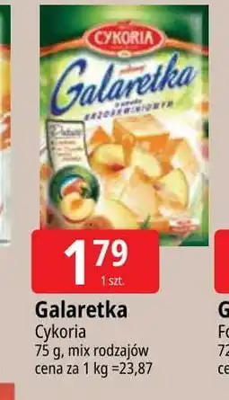 E.Leclerc Galaretka brzoskwiniowa Cykoria oferta