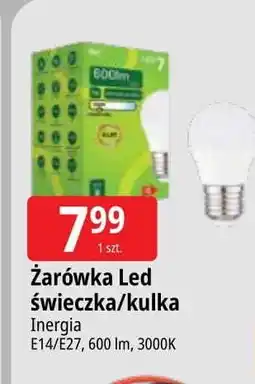 E.Leclerc Żarówka led e27 kulka Inergia oferta