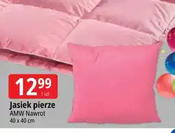 E.Leclerc Poduszka jasiek 40x40 cm Amw oferta