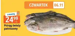 E.Leclerc Pstrąg świeży patroszony oferta
