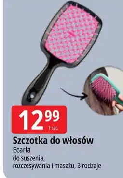 E.Leclerc Szczotka do włosów Ecarla oferta