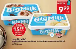 Lewiatan Lody Big Milk smak śmietankowo-wanillowy, śmietankowo-czekoladowy oferta