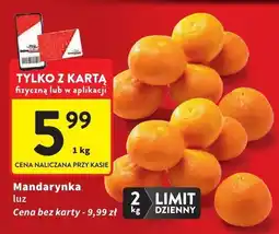 Intermarche Mandarynka luz Intermarche oferta