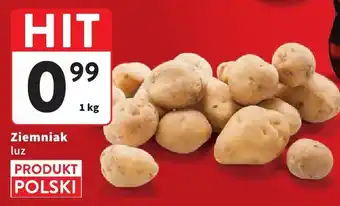 Intermarche Ziemniak luz Intermarche oferta