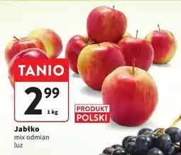 Intermarche Jabłko mix odmian luz Intermarche oferta