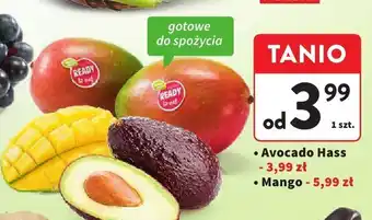 Intermarche Avocado Hass Intermarche oferta