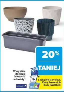 Carrefour Doniczki i skrzynki na kwiaty oferta
