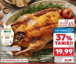 Kaufland Gęś świeża tuszka oferta