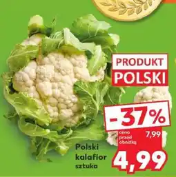 Kaufland Polski kalafior sztuka oferta