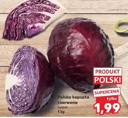 Kaufland Polska kapusta czerwona luzem 1kg oferta